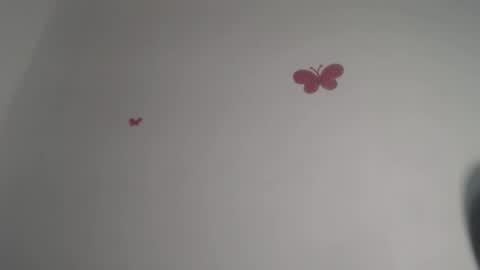 Iris online show from 11.30.25