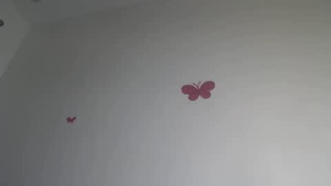 Iris online show from 01.15.26