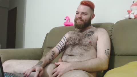 Snapshot of hornyhairy_bi chatting on 12.02.24 Harry online show from 12.02.24