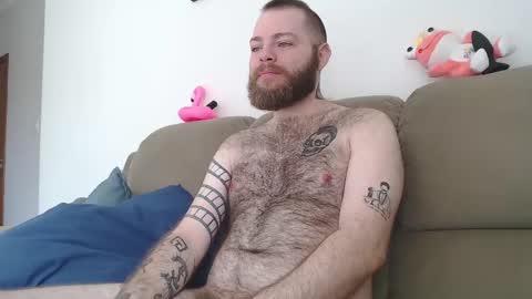 Snapshot of hornyhairy_bi chatting on 02.24.25 Harry online show from 02.24.25