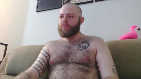 Snapshot of hornyhairy_bi chatting on 10.23.25 Harry online show from 10.23.25