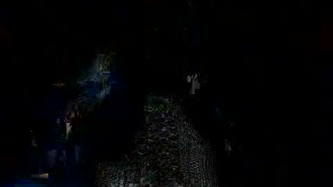 Mary Coelho online show from 03.11.25