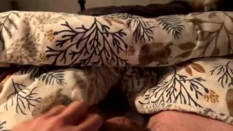 hot_for_you_ online show from 10.18.25