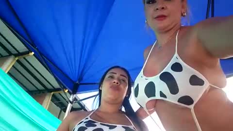 kittens online show from 04.16.26