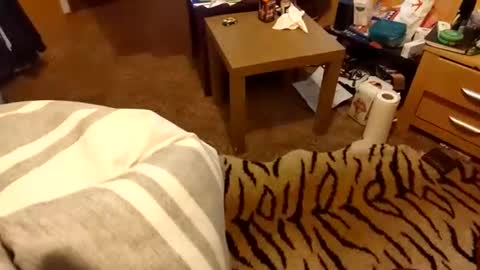 hotboy69735953 online show from 03.15.26