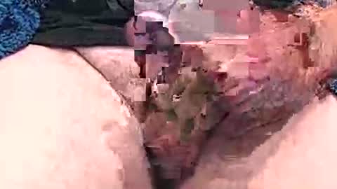 Snapshot of hotcam96 chatting on 12.15.24 hotcam96 online show from 12.15.24