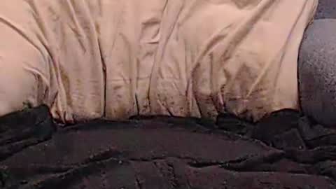 Snapshot of hotcam96 chatting on 01.02.25 hotcam96 online show from 01.02.25