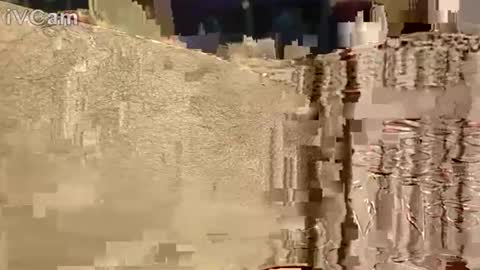 Snapshot of hotcapolx chatting on 11.17.25 Hotcapolx online show from 11.17.25