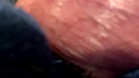 hotdog1124 online show from 01.06.25