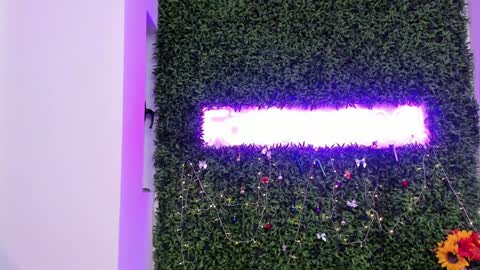 Snapshot of hotfallingdevil chatting on 12.21.25 hotfallingdevil online show from 12.21.25