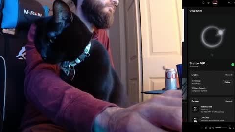 hotpumpkinpies online show from 04.05.26