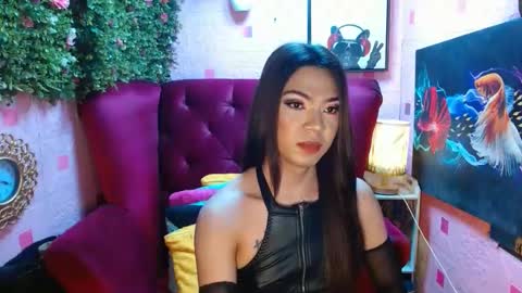 Summer online show from 01.14.25