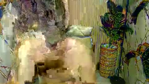 hottestloues online show from 04.26.26