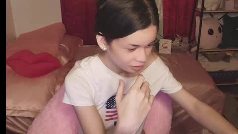 Terra online show from 03.11.26