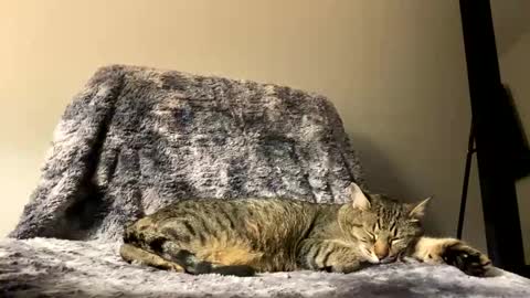 hottiewithabody101 online show from 04.17.26