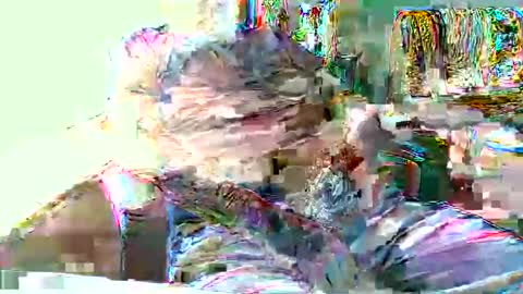 Hottop 1981 online show from 04.19.26