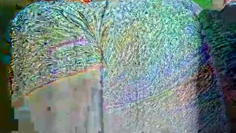 Snapshot of hp58649blabla chatting on 09.25.25 hp58649blabla online show from 09.25.25