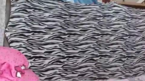 Snapshot of hugecockforyouxx chatting on 10.19.25 bella passwordshow 500tokens no time limit online show from 10.19.25