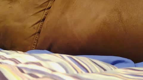 BigFTMdick online show from 12.09.24