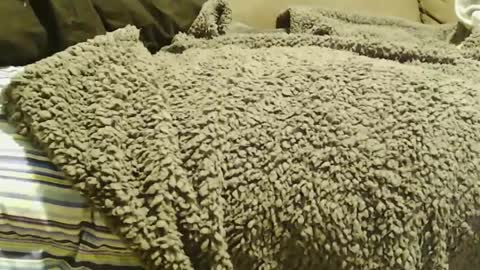 BigFTMdick online show from 12.22.24