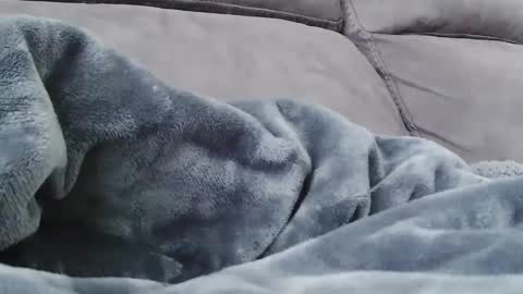 BigFTMdick online show from 12.24.24