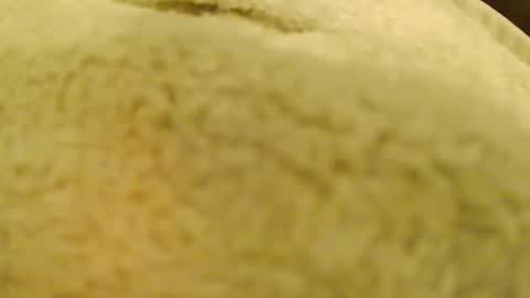 BigFTMdick online show from 01.04.25