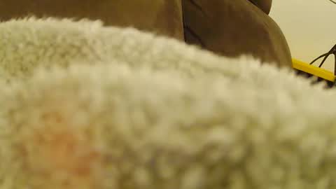 BigFTMdick online show from 01.06.25