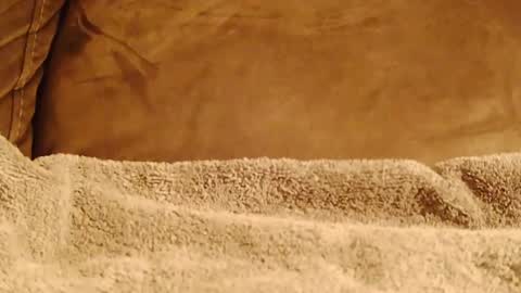 BigFTMdick online show from 01.08.25