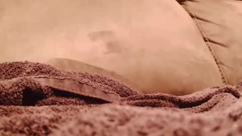 BigFTMdick online show from 01.19.25