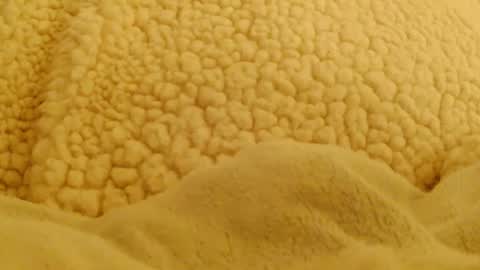 BigFTMdick online show from 02.04.25