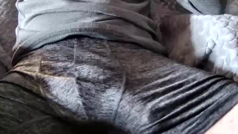 Snapshot of hugepecker131 chatting on 12.18.25 hugepecker131 online show from 12.18.25