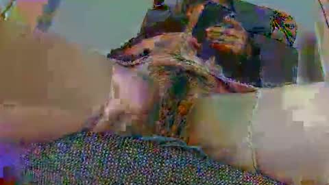 hujiajia520321431 online show from 11.10.25