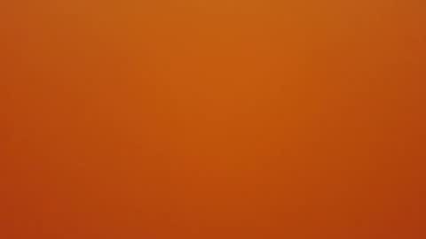 hundeleine online show from 12.16.25