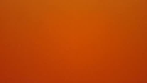 hundeleine online show from 02.16.26