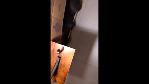 hungitalian40 online show from 02.12.26