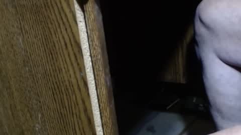 Snapshot of hungsofine chatting on 12.15.24 hungsofine online show from 12.15.24