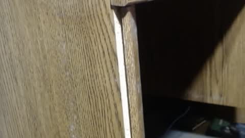 Snapshot of hungsofine chatting on 12.18.24 hungsofine online show from 12.18.24