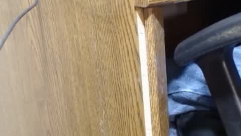 Snapshot of hungsofine chatting on 12.23.24 hungsofine online show from 12.23.24