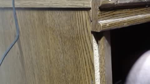 Snapshot of hungsofine chatting on 12.26.24 hungsofine online show from 12.26.24