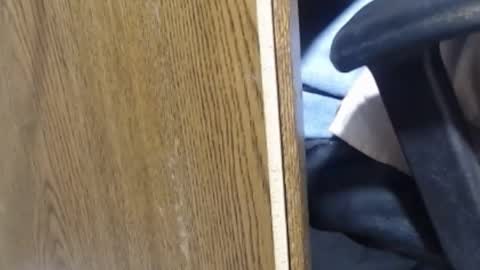 Snapshot of hungsofine chatting on 01.13.25 hungsofine online show from 01.13.25