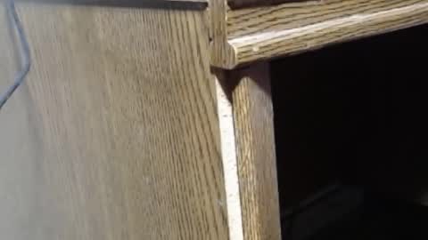 Snapshot of hungsofine chatting on 02.19.25 hungsofine online show from 02.19.25