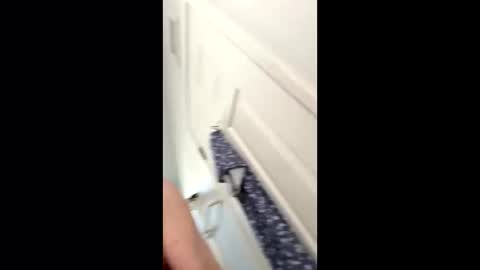 huskey300 online show from 01.09.26