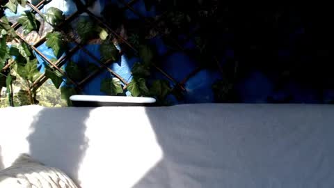 Kayla online show from 03.03.25