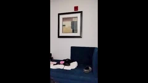 hydrakinglaser online show from 02.05.26