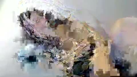 cant get you out of my head online show from 02.12.25