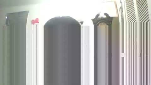 Snapshot of iamproprojectcandysugarbaby chatting on 09.13.25 I LOVE  MY   COCONUT   EAT  MY   COCONUTS online show from 09.13.25