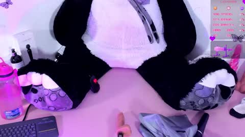 Snapshot of iamstephanie13 chatting on 01.23.25 Steph - Online Again   - 1 DECEMBER online show from 01.23.25