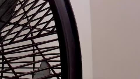 IAN CASTILLO online show from 02.11.26