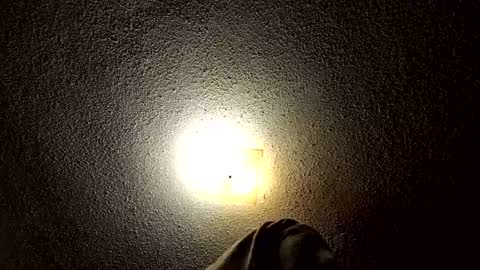 ibussbooties_007 online show from 03.14.26