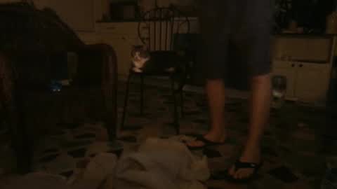 idksohorny online show from 12.21.24